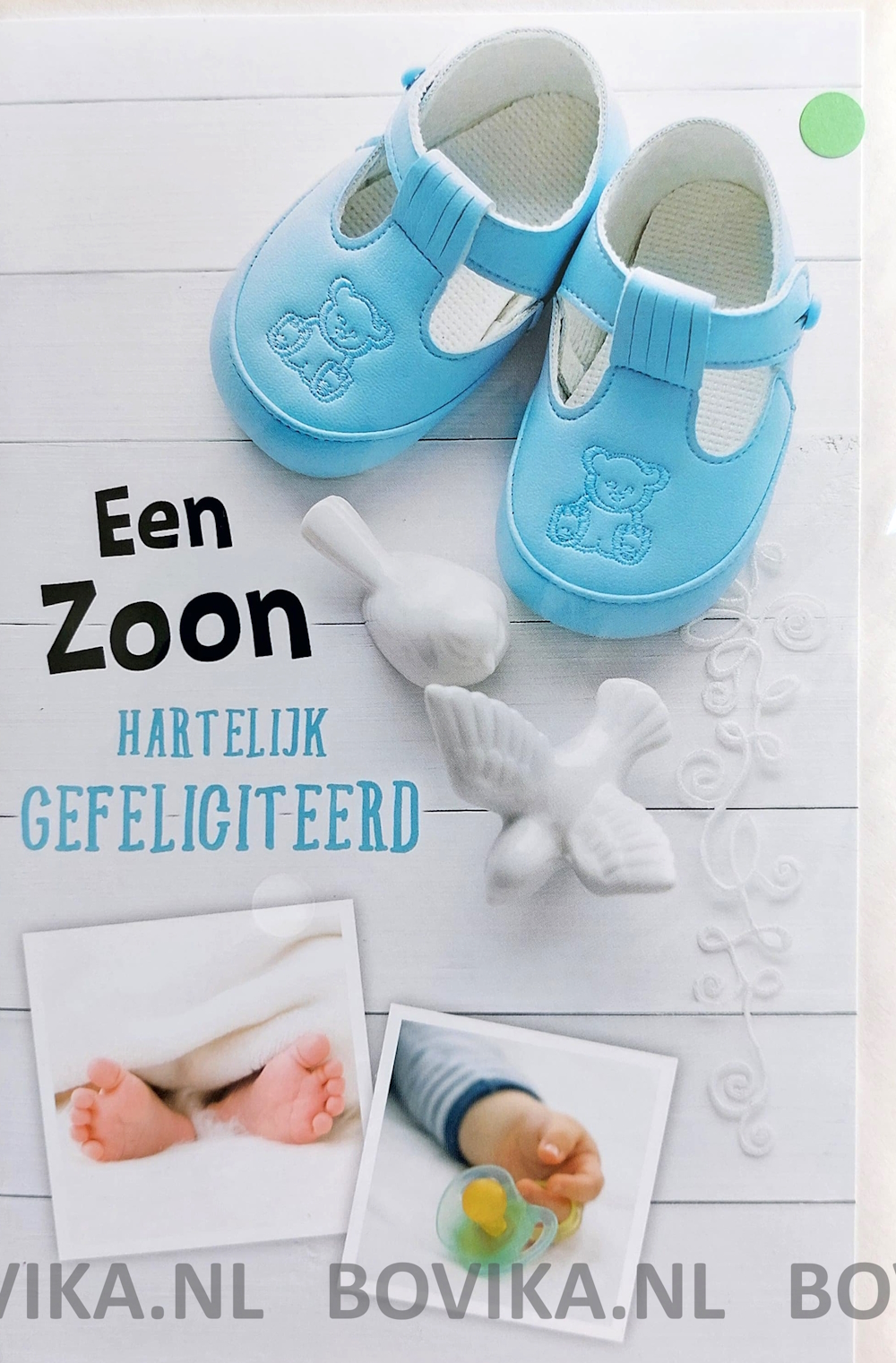 Een zoon